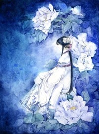 全息之幻想