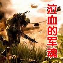 泣血的軍魂