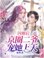闪婚后,京圈二爷宠她上天