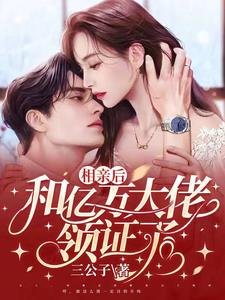 相親後,和億萬大佬領證了