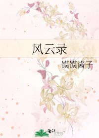 风云录